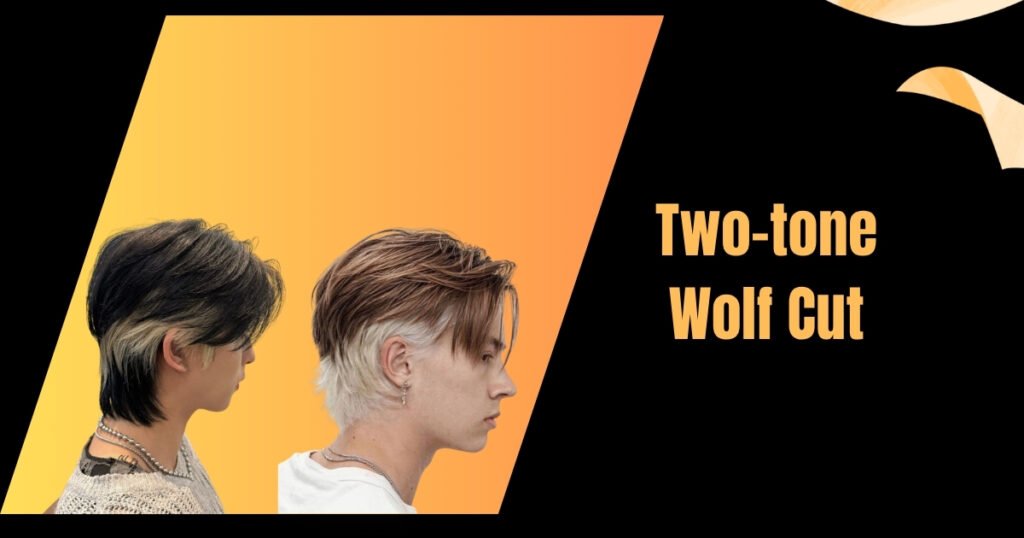 Wolf cut vs Shag cut